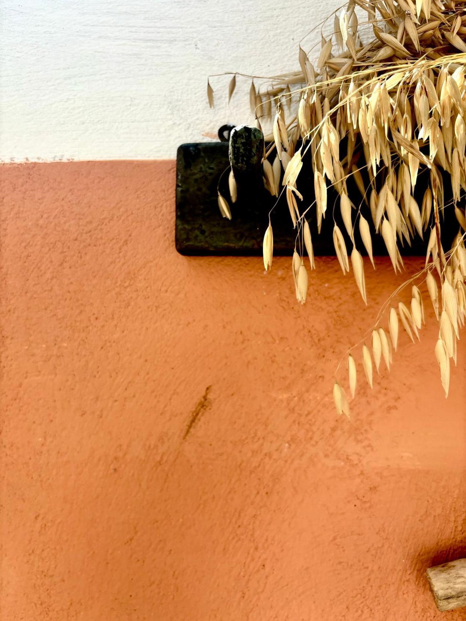 Traditional Corfiot House Perivólion Exterior foto